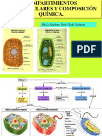 Comportamiento Intracelular y Composicion Quimicaexamen