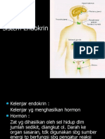 Kuliah Sistem Endokrin