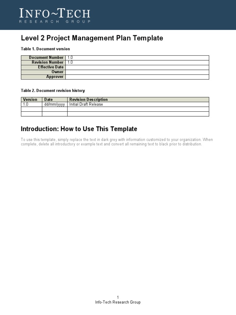 It Level 2 Project Management Plan Template | PDF | Project Management