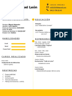 Curriculum Miguel Leon PDF