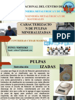 CARACTERIZACION DE LA PULPA MINERALIZADA