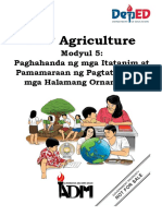 EPP4 - Agriculture - Modyul 5 - Paghahanda NG Mga Itatanim at Pamamaraan NG Pagtatanim NG Mga Halamang Ornamental