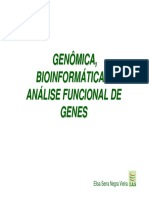 Genômica, Bioinformática, Análise Funcional de Genes