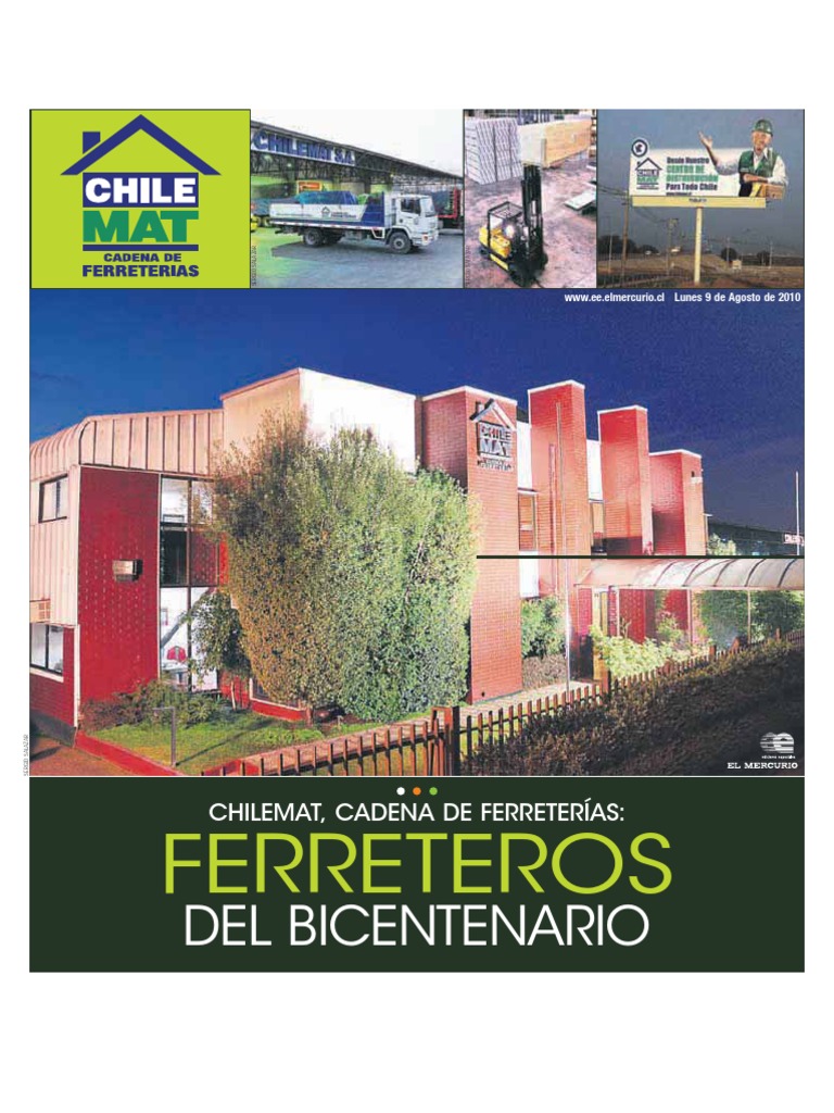 Chilemat Marcado | PDF | Logística | Mercado (economía)