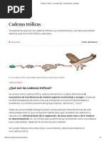 Cadenas Tróficas - Concepto, Tipos, Características y Ejemplos