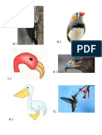 Lesson On Bird Beak Adaptation Handout