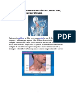 Cervicales y Bioneuroemoción