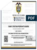 Certificado Diplomado Psicologia Organizacional