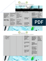 Wesleyan Nursing Care Plan