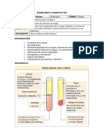 Diario Meta Cognitivo Nº3