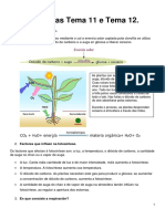 Preguntas Bioloxía Tema 11 e 12 RESOLTAS