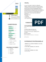 CV Ib Perfect PDF