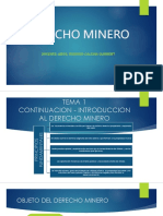 Derecho Minero - 2021