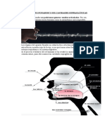 El Aparato Fonador y Sus Cavidades Supraglóticas