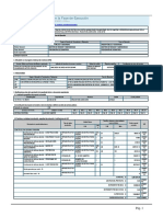 Formato N°08-A Registros en La Fase de Ejecución