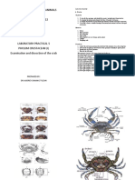 SQ11403 - Crabs (Lab Practical Instruction)