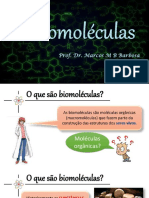 O que são biomoléculas e suas principais classes