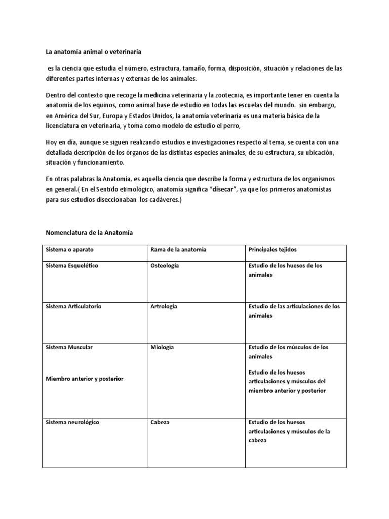 ANATOMIA ANIMAL VETERINARIA visual data 8