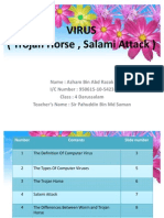 Virus (Trojan Horse and Salami Attack)