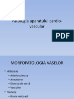 LP 6 Patologia Cardio-Vasculara