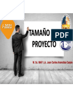 Tamaño Del Proyecto