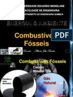 4-Combustiveis Fosseis