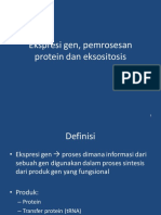 2015 09 14 Ekspresi Gen, Pemrosesan Protein Dan Eksositosis