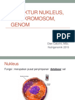 2015 09 14 - Struktur Nukleus, DNA, Kromosom, Genom