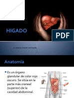 Anatomia y Fisiologia Del Higado