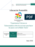 Formato - Descripción Experiencia Exitosa - Educación Sostenible