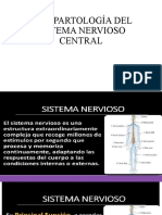 Introducción Al Sistema Nervioso Central