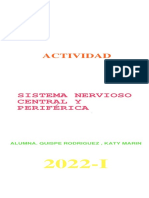 Infografía Del Sistema Nervioso CENTRAL Y PERIFERICO