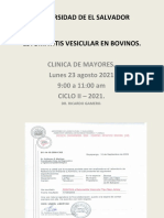 Eestomatitis Vesicular en Bovinos (Autoguardado) (Autoguardado)