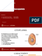 Citoplasma y Citoesqueleto