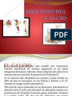 Dokumen - Tips - Metabolismo Del Calcio 558494ef2c139