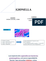 Legionella SSP