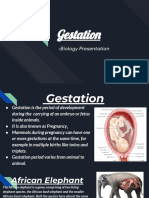 Gestation - Biology Presentation