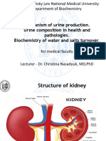 Mechanism of Urine Production. Urine Composition in Health and Pathologies. Biochemistry of Water and Salts Turnover