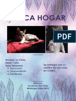 Busca hogar