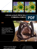 Corona Virus PP