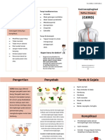 Tugas sistem Pencernaan Kelompok 6 -GERD