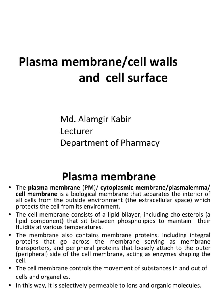 Plasma Membrane | PDF | Cell Membrane | Cell Wall