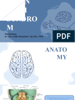 Brain Stem Syndrom