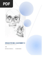 Download FRACTURAS LEFORT I by Sigrid Soto SN57815263 doc pdf