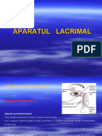 Curs AP. Lacrimal