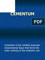 Cementum