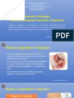 Objetivo 2.1 Anatomofisiología Del Sistema Reproductor Femenino y Masculino