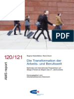 Die Transformation Der Arbeits-Und Berufswelt: Regina Haberfellner, René Sturm