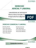 Derecho Comercial Y Laboral: Universidad de Antioquia Mónica María González Franco