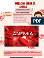 Informe Sobre La Anemia